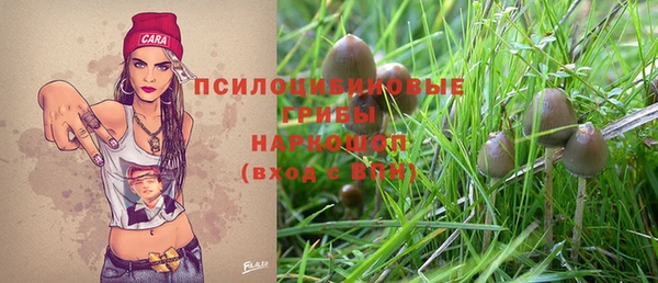 гашик Абинск