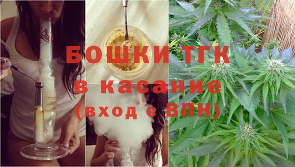 шишки Алексеевка