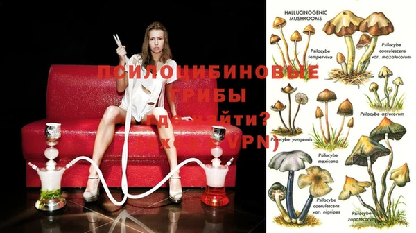 дживик Абаза