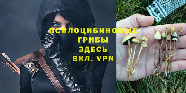 дживик Абаза